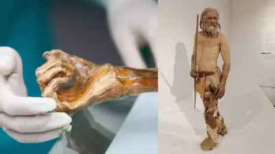 Ötzi the Iceman's Microbiome Reveals Signs of Ancient Biological Activity