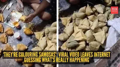 Viral Video Sparks Debate: Are These Colored Objects Samosas or Decorative Art?