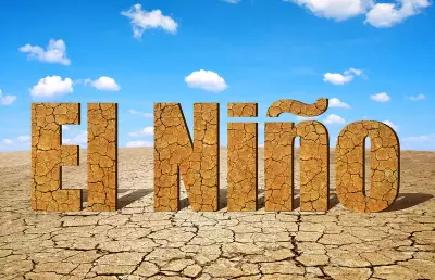 Why a Strong El Niño Leaves Tropical Commodities Acutely Exposed