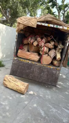 Wildlife Department Seizes 20 Quintals of Khair Wood in Yamunanagar