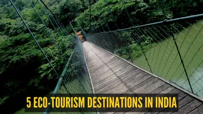 World Environment Day 2026: 5 Eco-Tourism Destinations in India Balancing Conservation and Travel