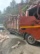 1 dead, 18 hurt as truck with band party falls into gorge in Shimla's Theog