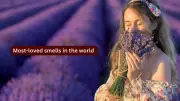 10 Most-Loved Smells in the World and Where Travelers Can Experience Them