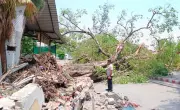 13-Year-Old Dies in Amritsar Railway Station Peepal Tree Collapse