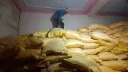 1,495 Bags of Subsidised Urea Seized in Rajpura, Two Traders Booked