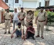 23 Cattle Rescued from Overcrowded Truck in Karnal, Two Arrested