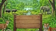 24 of 26 MP Wildlife Sanctuaries Still Await Final Notification