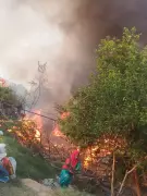 29 migrant workers' huts gutted in Una fire, no casualties reported