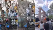 3 Dead, Several Injured as Temple Slab Collapses in Maharashtra's Parbhani