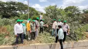 30 Trees Chopped Along Train Tracks in Mysuru; RFO Issues Notice to Railways