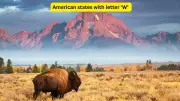 4 US States Starting with 'W' Hide World's Most Iconic Wonders