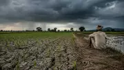43% Monsoon Deficit Threatens Kharif Sowing in 111 Districts