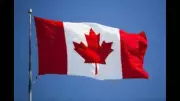 46 Arrested Including Indians in Canada 'Criminal Tourism' Racket