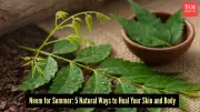 5 Easy Ways to Use Neem for Skin and Wellness During Summer