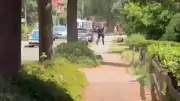 5 killed in Germany shooting, suspect detained; motive unclear