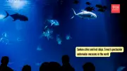 5 Spectacular Underwater Museums Around the World You Must Explore