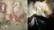 67,800-Year-Old Hand Stencil Found in Indonesian Cave Rewrites History