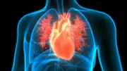7-Second X-Ray Can Accurately Detect Heart Problems: Japanese Study