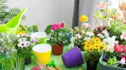 7 Surprising Gardening Truths No One Tells Beginners