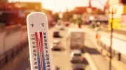 84% Indians Report Experiencing Global Warming: Survey Reveals Energy Views