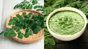 9 Delicious Ways to Eat Moringa Leaves in Summer for Health Benefits