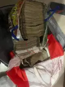 ACB Detains 5 Including Rajasthan Seeds Corp Director, Recovers Rs 2.44 Crore