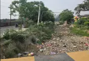 Activist Flags Severe Pollution in Bist Doab Canal, Writes to CM for Cleanup