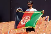 Afghan Team Finds Lone Supporter in Mullanpur Cricket Match