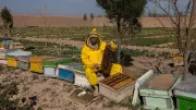 Afghan Women Turn to Entrepreneurship Amid Taliban Restrictions