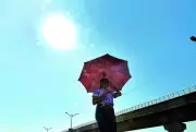 Ahmedabad battles heat, humidity with rise in viral infections and fatigue