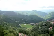 AI Maps Rs 22,600 Crore Green Gold in Himachal Pradesh Forests