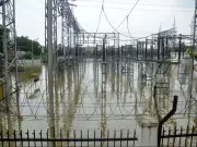 AIPEF Opposes Haryana's Separate Agriculture DISCOM, Calls It Privatisation Backdoor
