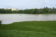 Akkulam Lake, Kovalam Beach Projects Face Uncertainty Over High Bids