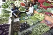 AMC Invites Tenders for Shop Rentals at Gota Vegetable Market in Ahmedabad
