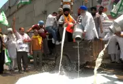 Amritsar Farmers Spill Milk on Roads in Protest Over Low Prices