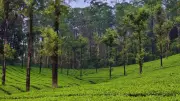 Anand Mahindra Highlights Valparai as Solution to Overtourism in India