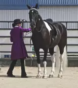 Ancient Leather Saddle Found in China Rewrites History of Horse Riding