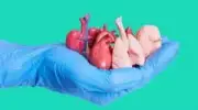 Andhra Cabinet Approves Swap Kidney Transplants to Boost Organ Donation