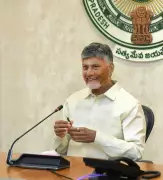Andhra NDA finalises Rajya Sabha seats: TDP 3, Jana Sena 1