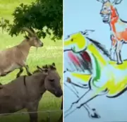 Anil Kapoor's Iconic 'Welcome' Painting Gets Real-Life Version, Internet Amused