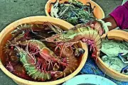 AP govt forms permanent panel to monitor shrimp feed prices, ensure transparency