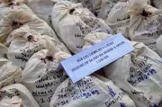 ASI Dismissed and Arrested for Siphoning Seized Opium in Sirsa Drug Case
