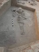 ASI Unearths 8 Harappan Skeletons with Record 40 Pottery Offerings at Rakhigarhi