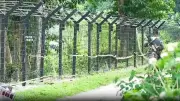 Assam CM Calls Incomplete India-Bangladesh Border Fencing a Historical Mistake