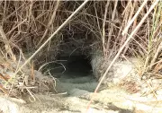 Bahraich records zero human-wolf conflict a year after deadly attacks killed 14