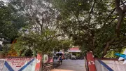 BDA Withdraws Request to Cut 184 Trees in Bengaluru's HSR Layout