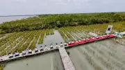 Bengal forest dept takes yoga to rivers, forests, and high mountains for International Day of Yoga