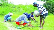 Bengaluru: Inside BDA's Green Guinness Dream for 15 Lakh Saplings