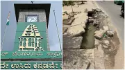Bengaluru Netizens Question GBA's Call to Walk Short Distances to Save Planet