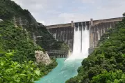 Bhakra Dam Inflow Drops to Half During Peak Summer